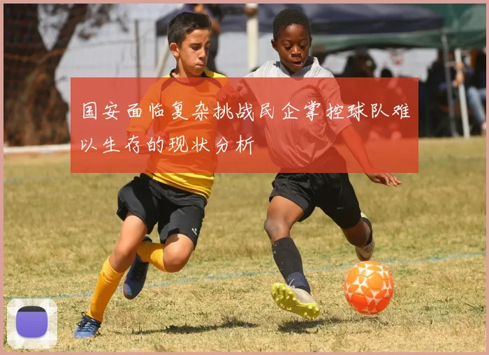国安面临复杂挑战民企掌控球队难以生存的现状分析