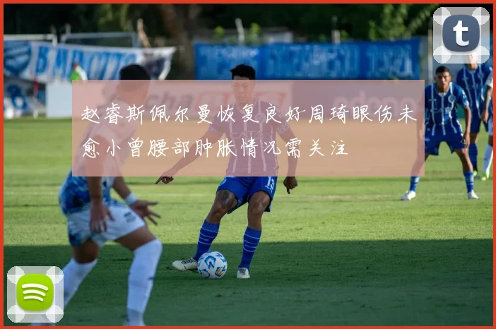 赵睿斯佩尔曼恢复良好周琦眼伤未愈小曾腰部肿胀情况需关注